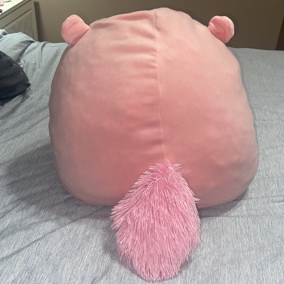 16” Squishmallow - Pink Squirrel named “Sarah.” - Picture 5 of 10